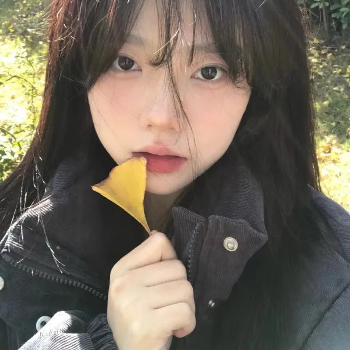 精灵也疯狂